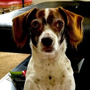 Meet your Posher, Kari